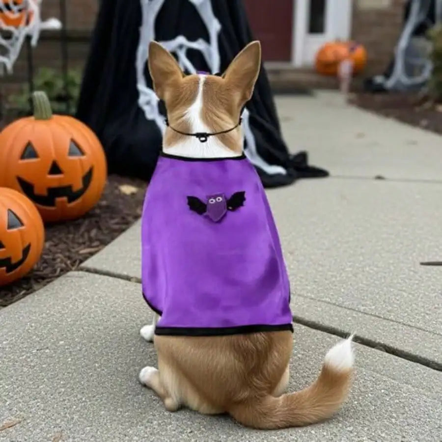 Pet Vampire Bat Cape Costume With Mask For Halloween
