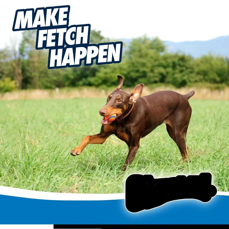 Ultra Ball Dog Toy Durable Rubber Floating Water Safe