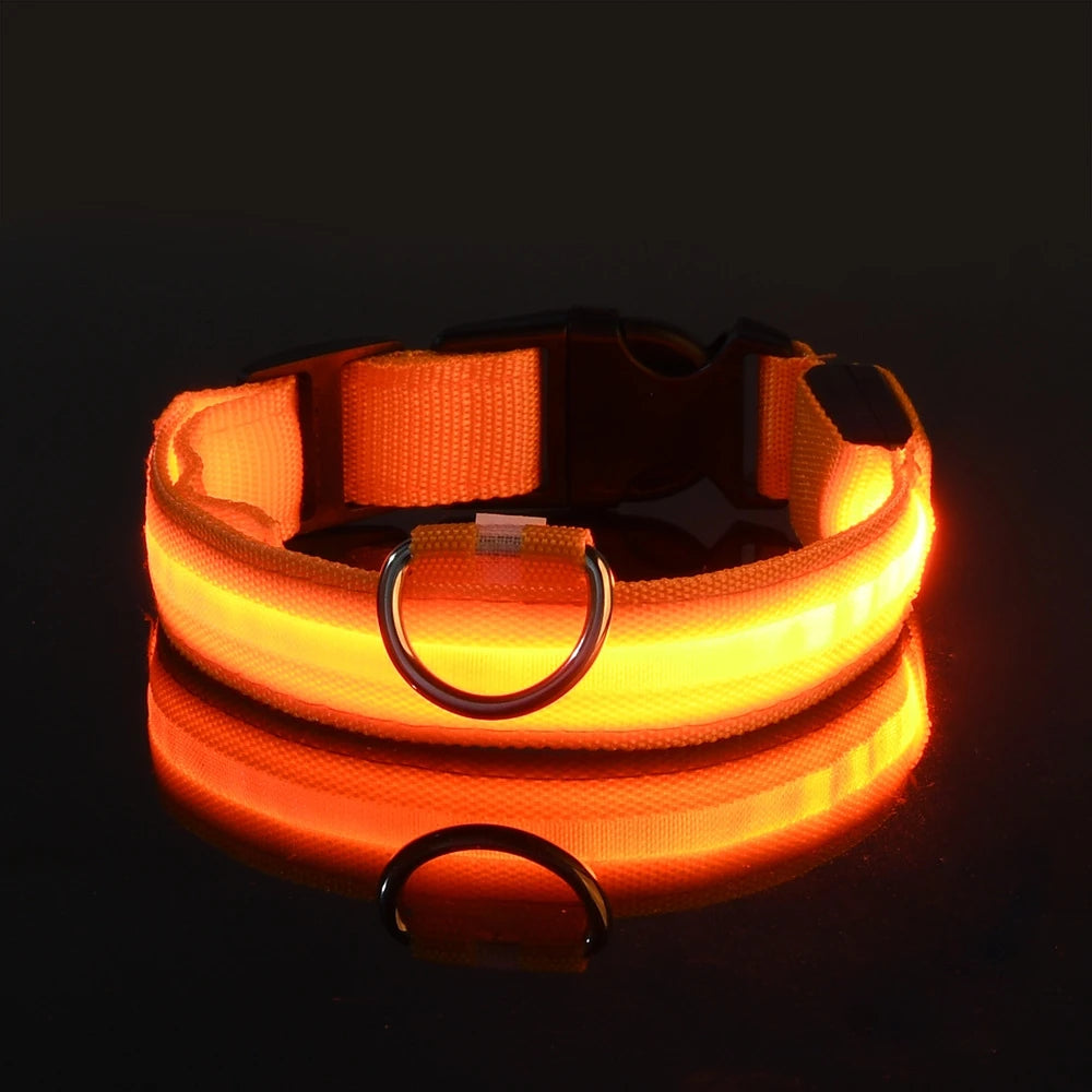 Nylon LED Night Safety Dog Leash with Glow In Dark