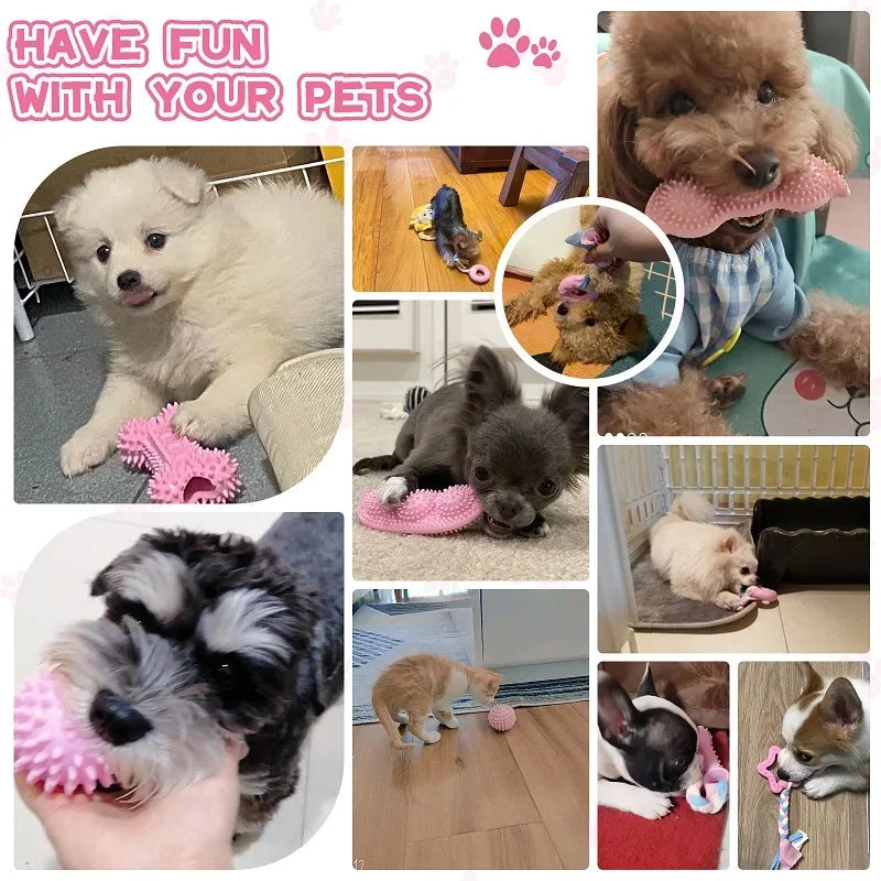 Dog Chew Toys for Cleaning Teeth Rubber Bone Ball Set