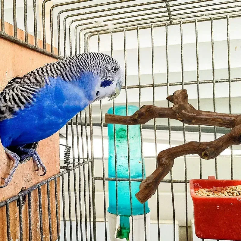 Grape Wood Bird Perch Standing Stick For Parrots Cockatiels Parakeets