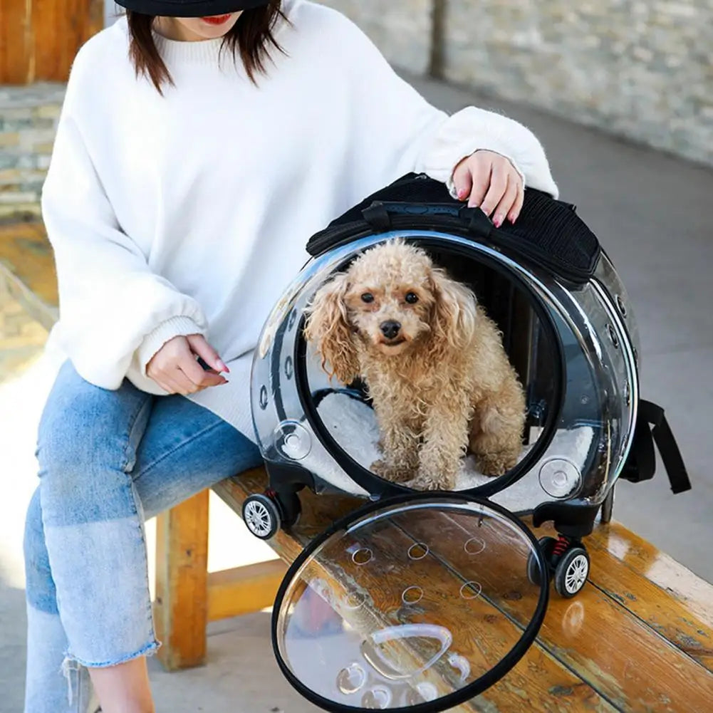 Portable Pet Trolley Case With Silent Wheels And Clear Ventilation