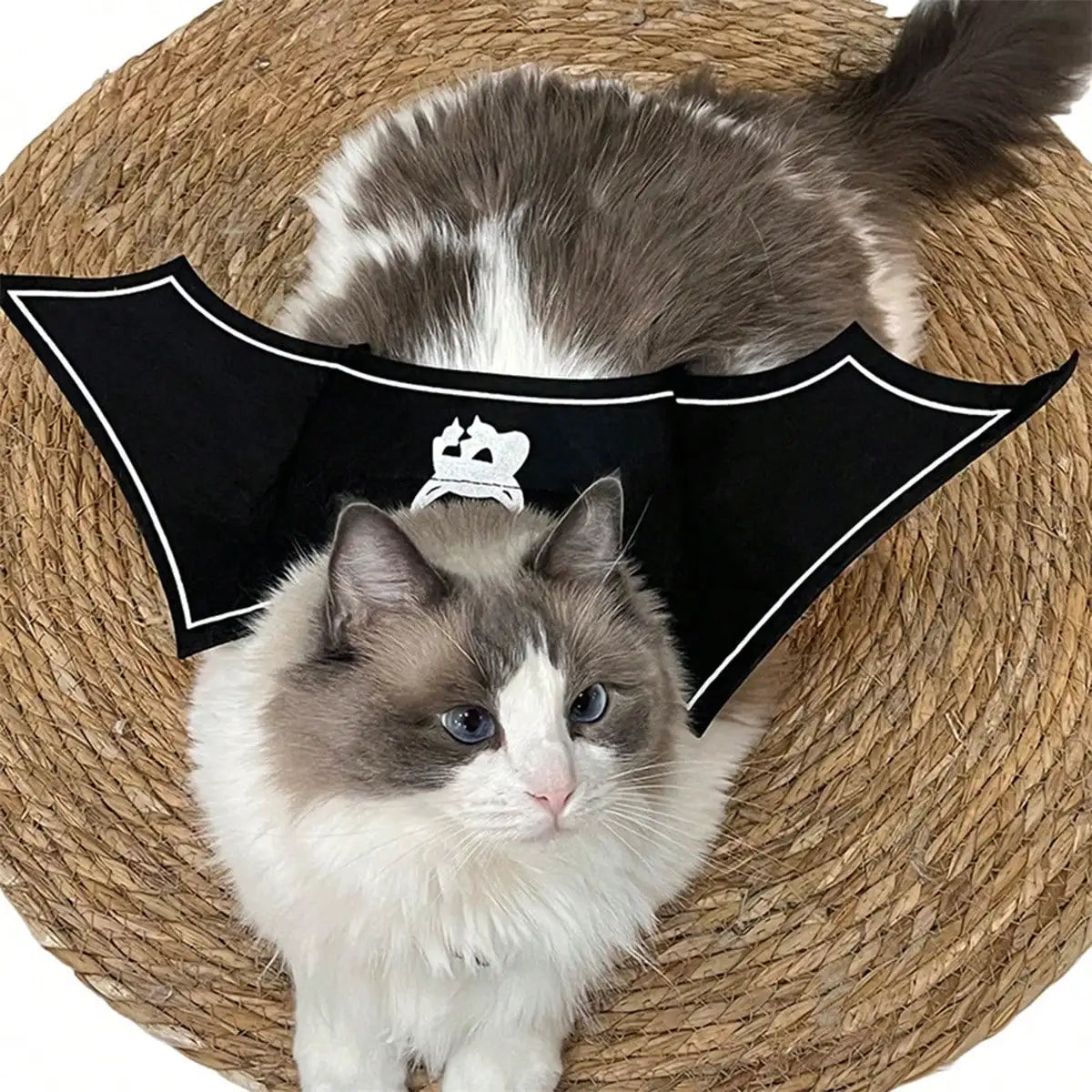 Halloween Bat Wings Pet Costume With Funny Devil Print