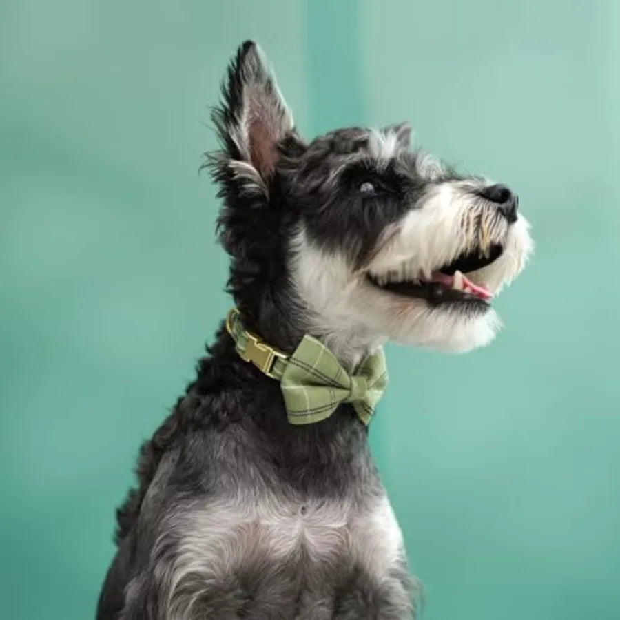 Adjustable Plaid Dog Harness Collar and Leash Set with Bowtie