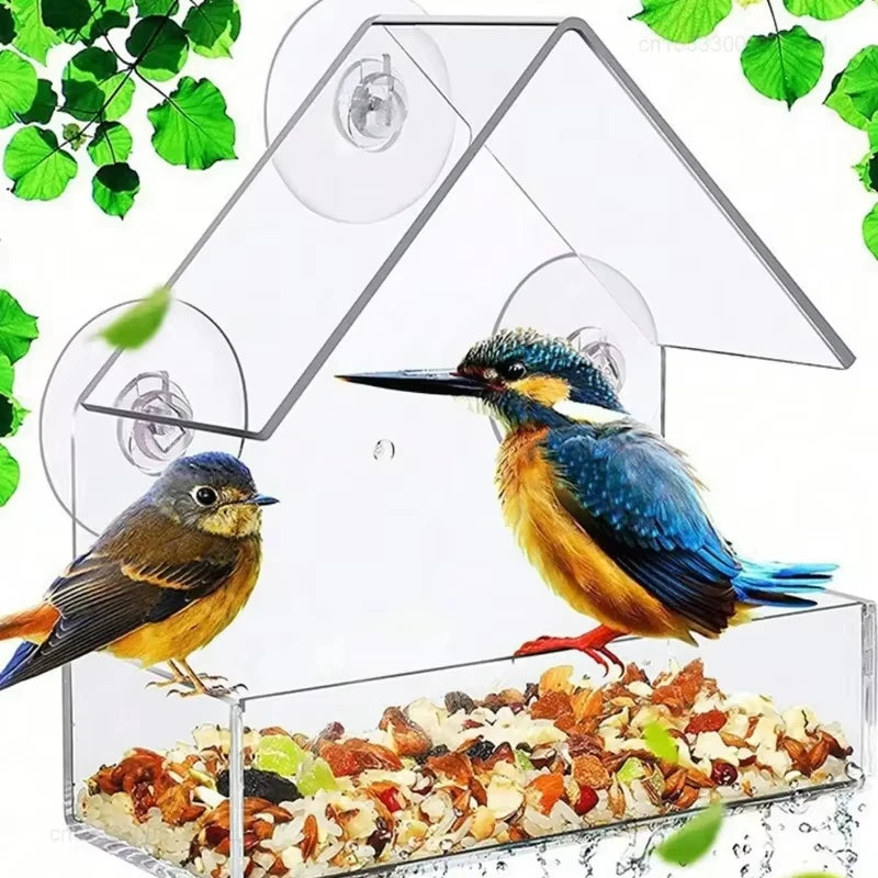 Acrylic Window Bird Feeder With Suction Cup For Backyard