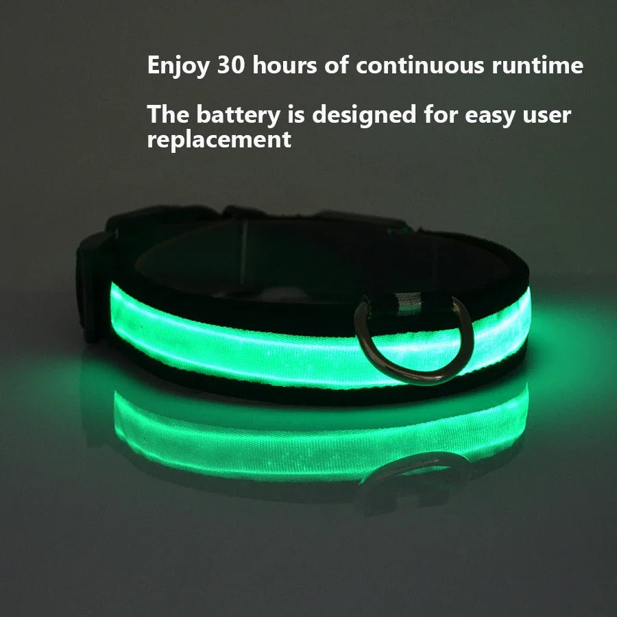 NONECN Glowing Nylon LED Dog Collar For Night Safety