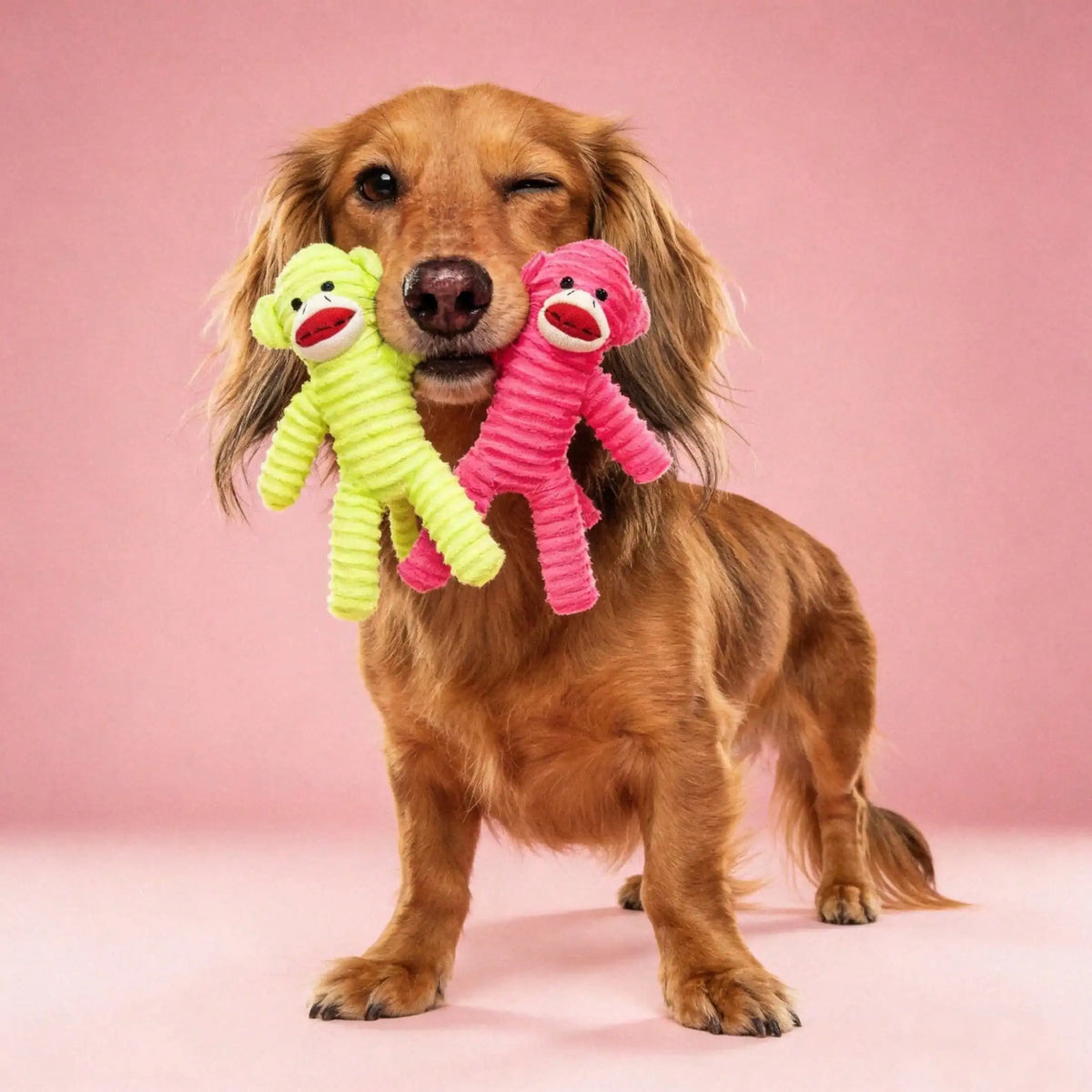 Armadillo Squeaky Plush Dog Chew Toy For Teeth Cleaning Play