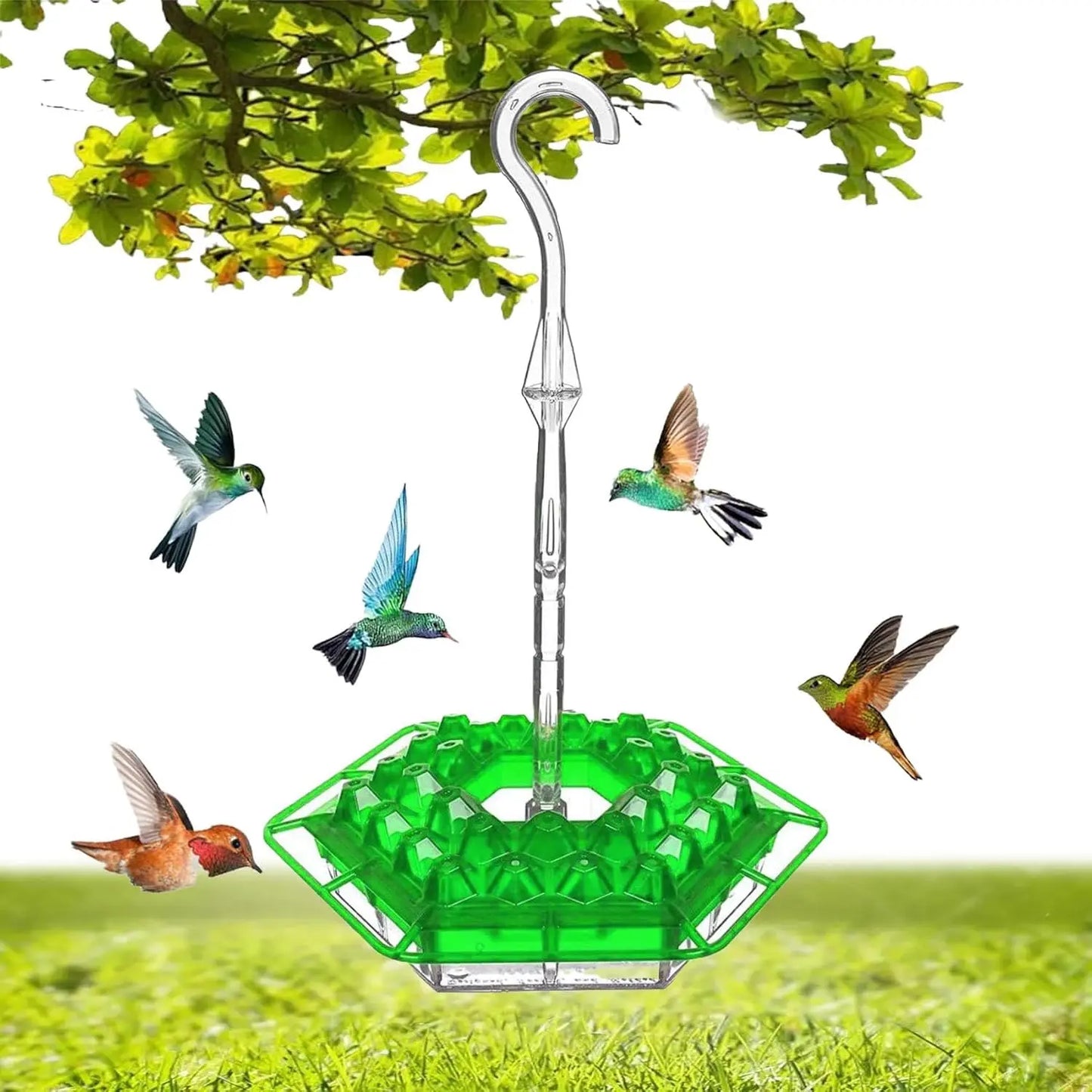 Hummingbird Feeder With Leakproof Moat And 30 Feeding Ports