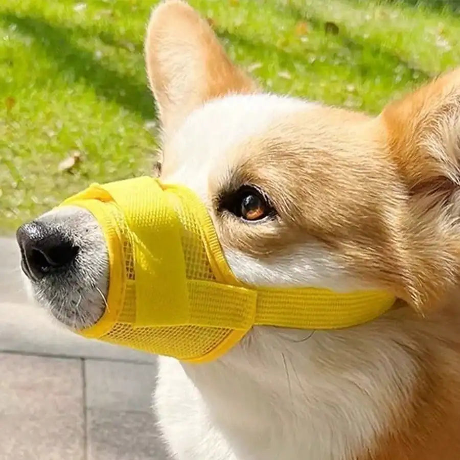Adjustable Dog Muzzle For Training Anti Bite Breathable Mesh Design