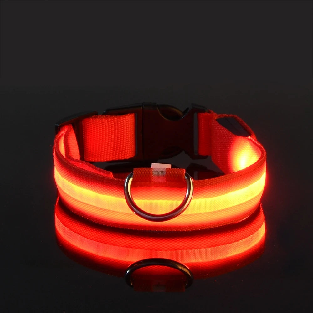 Nylon LED Night Safety Dog Leash with Glow In Dark