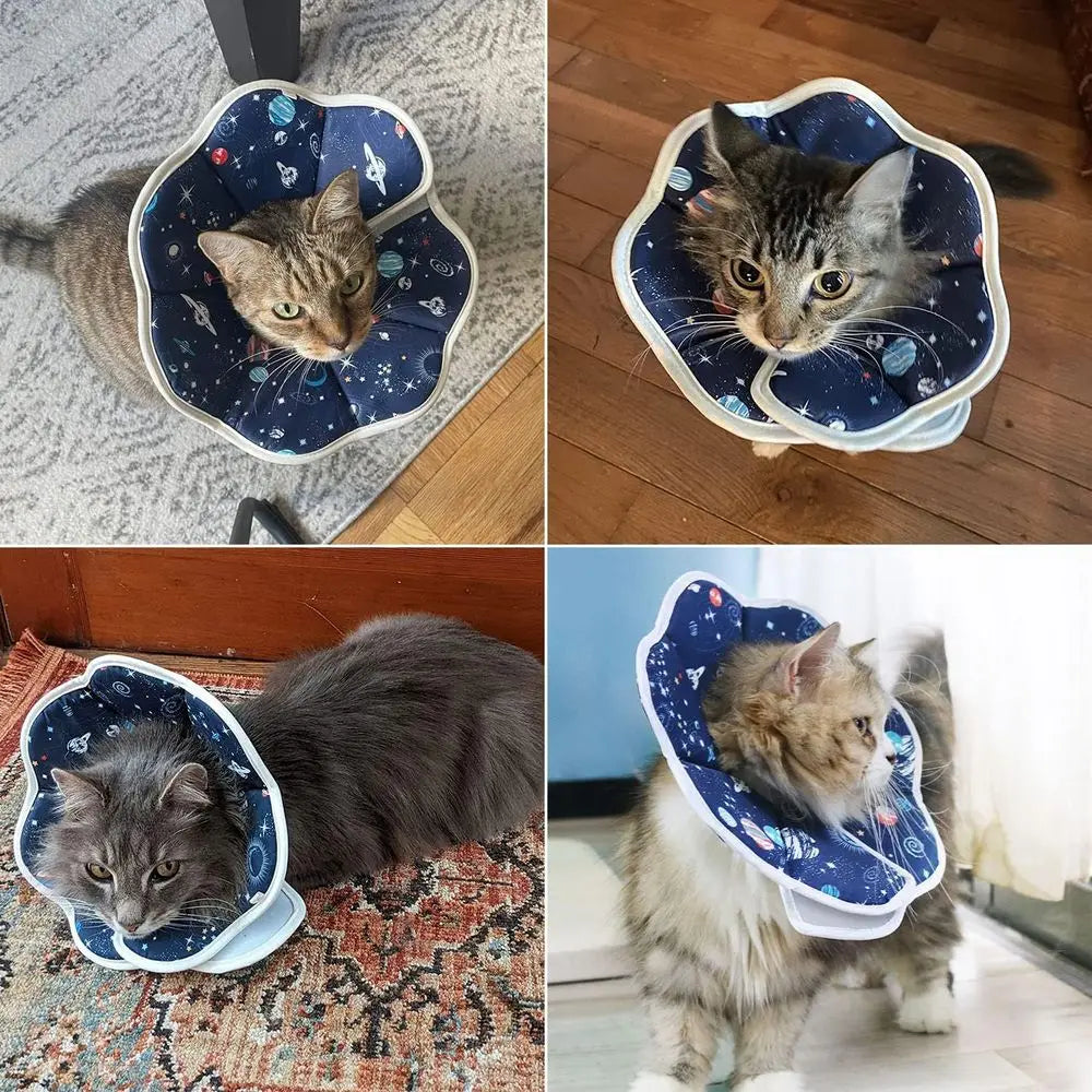 Elizabethan Cat Recovery Collar After Surgery Prevents Licking