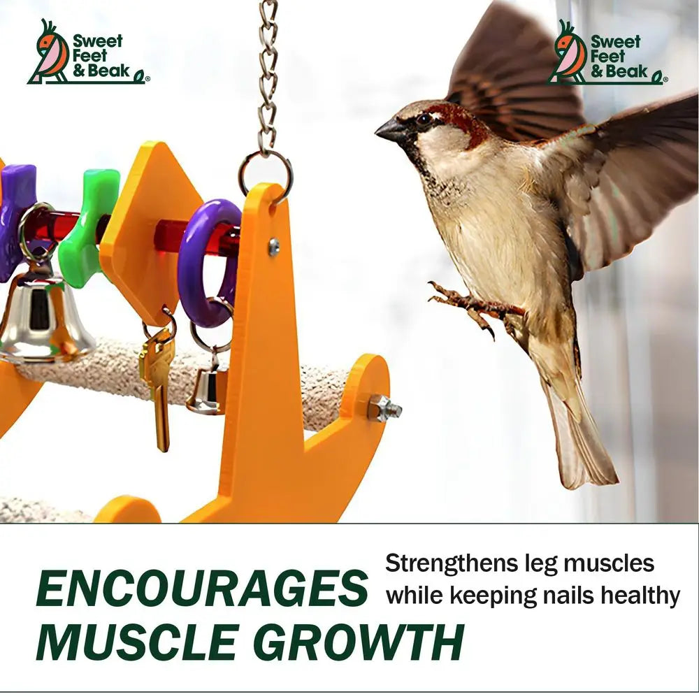 Perfect Cage Toy Stimulates Visual and Physical Activity for Birds