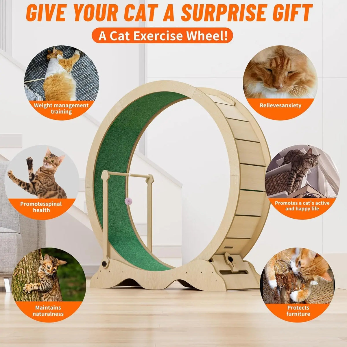 Studyset Cat Exercise Wheel With Quiet Rollers And Carpeted Runway