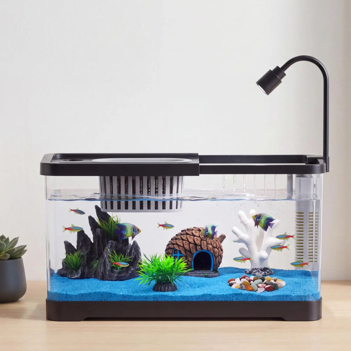 Complete Fish Tank Starter Kit With Filter And Light For Aquatic Pets
