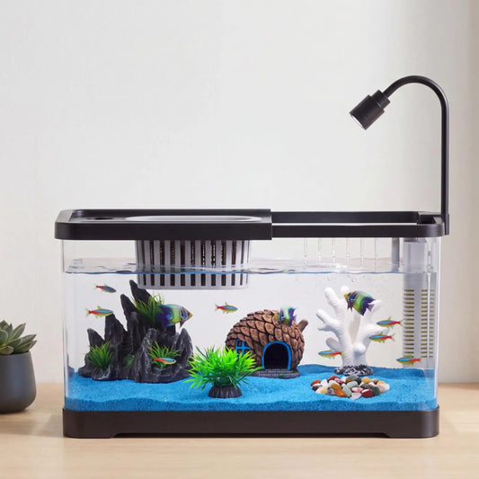 Complete Fish Tank Starter Kit With Filter And Light For Aquatic Pets