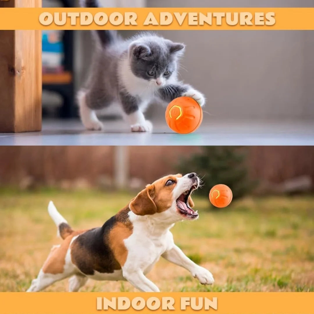 Smart Bouncing Electric Pet Ball Toy for Cats and Dogs
