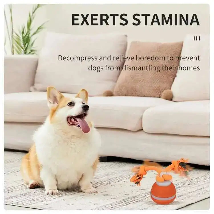 LISM Motion Activated Teasing Dog Ball Toy With Squeaky Rope