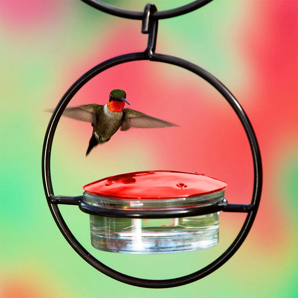 Outdoor Hummingbird Feeder Tray With Plastic Bowl For Garden