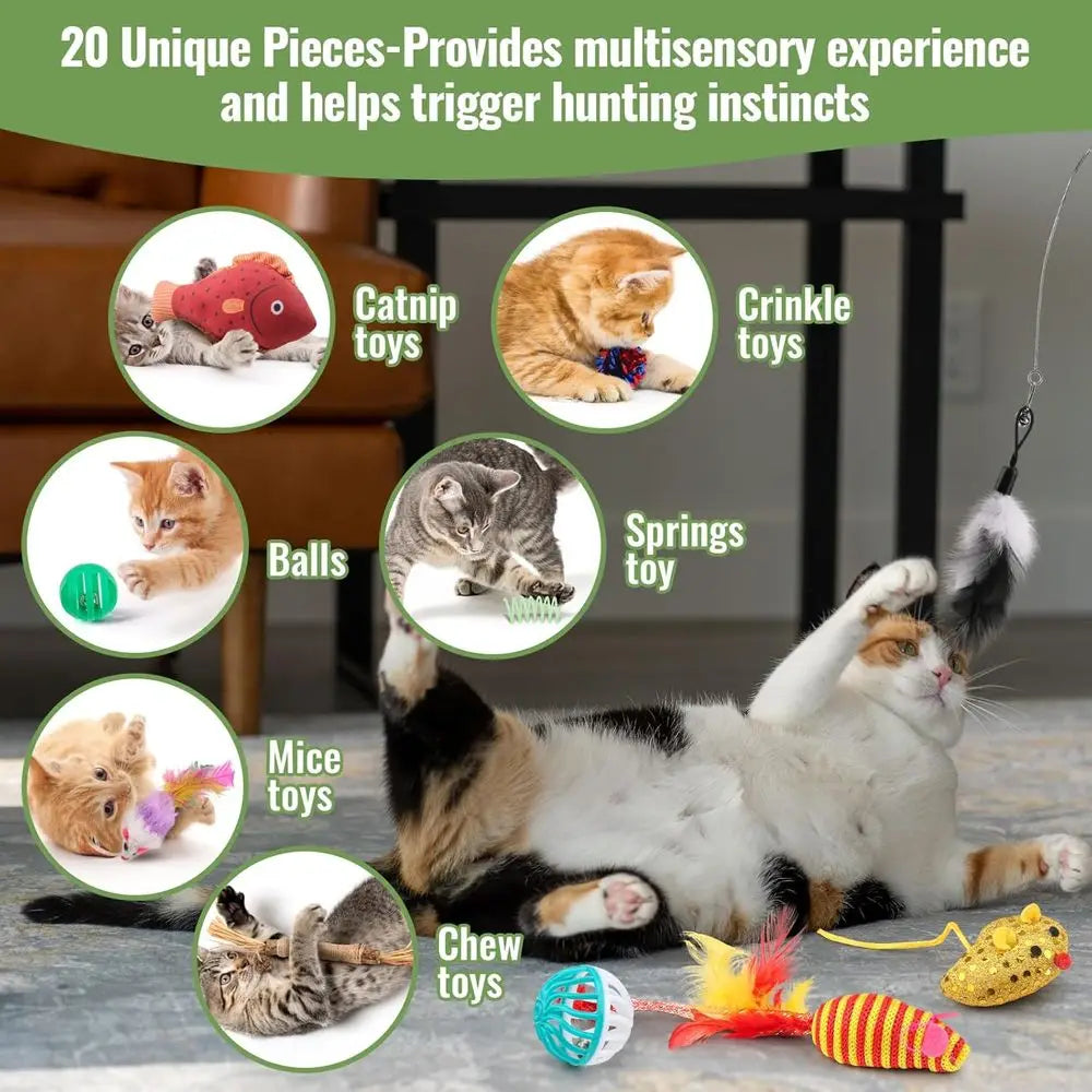 Talk Cat Toys Variety Pack 20 Pieces Deluxe Assorted Set