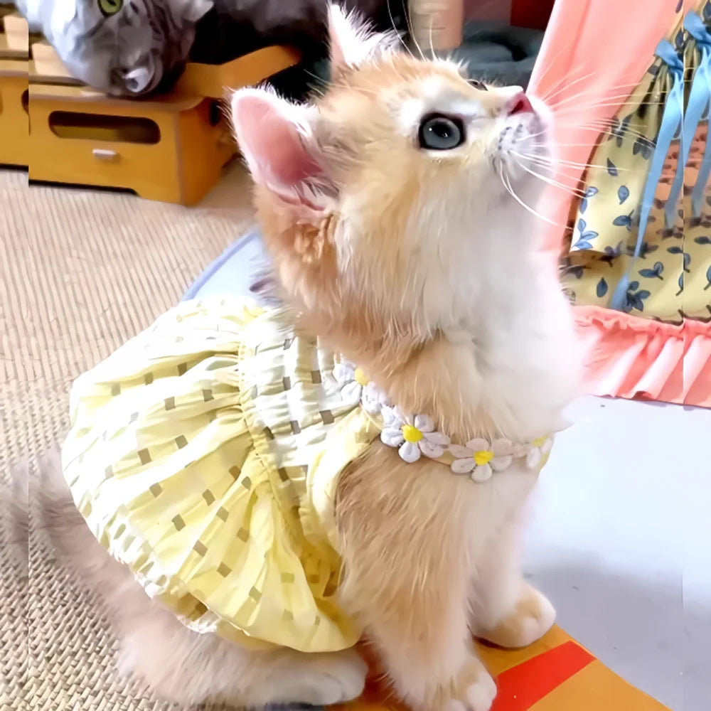 Chic Cat Dress Summer Princess Style For Pets Everywhere