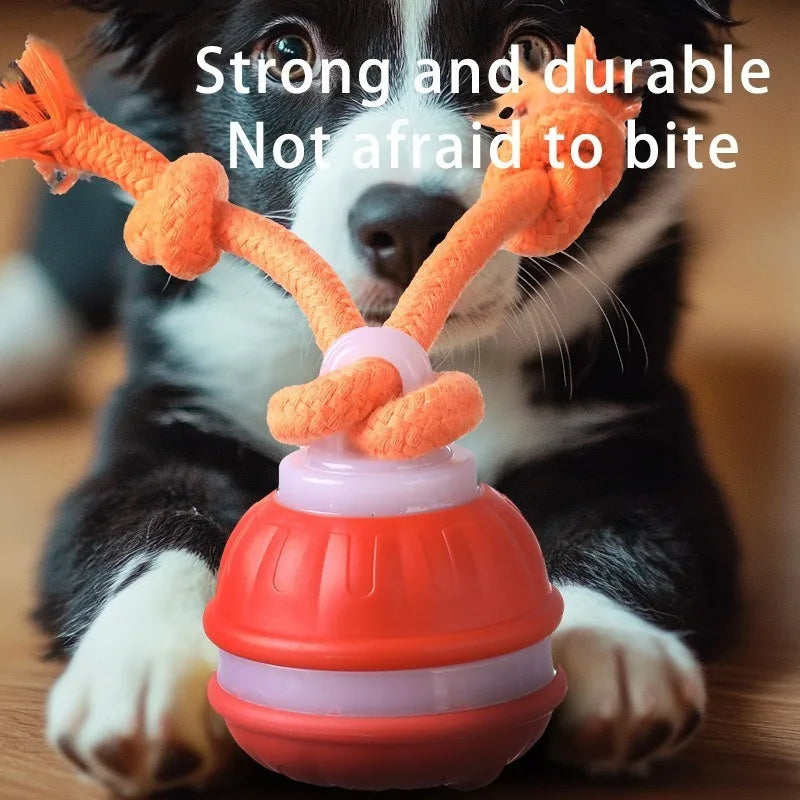 LISM Motion Activated Teasing Dog Ball Toy With Squeaky Rope