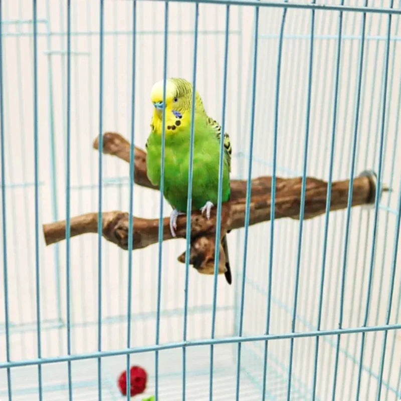 Grape Wood Bird Perch Standing Stick For Parrots Cockatiels Parakeets