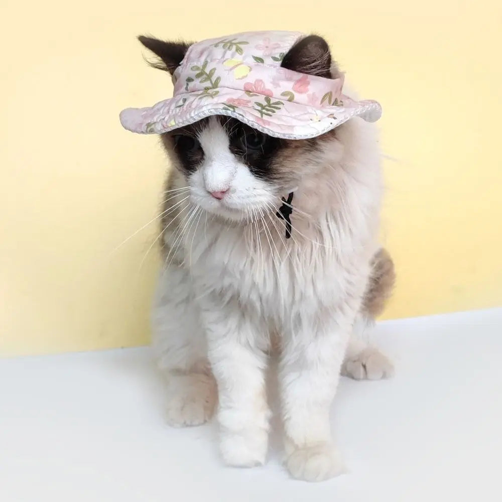 Adjustable Breathable Pet Sun Hat For Cats And Dogs