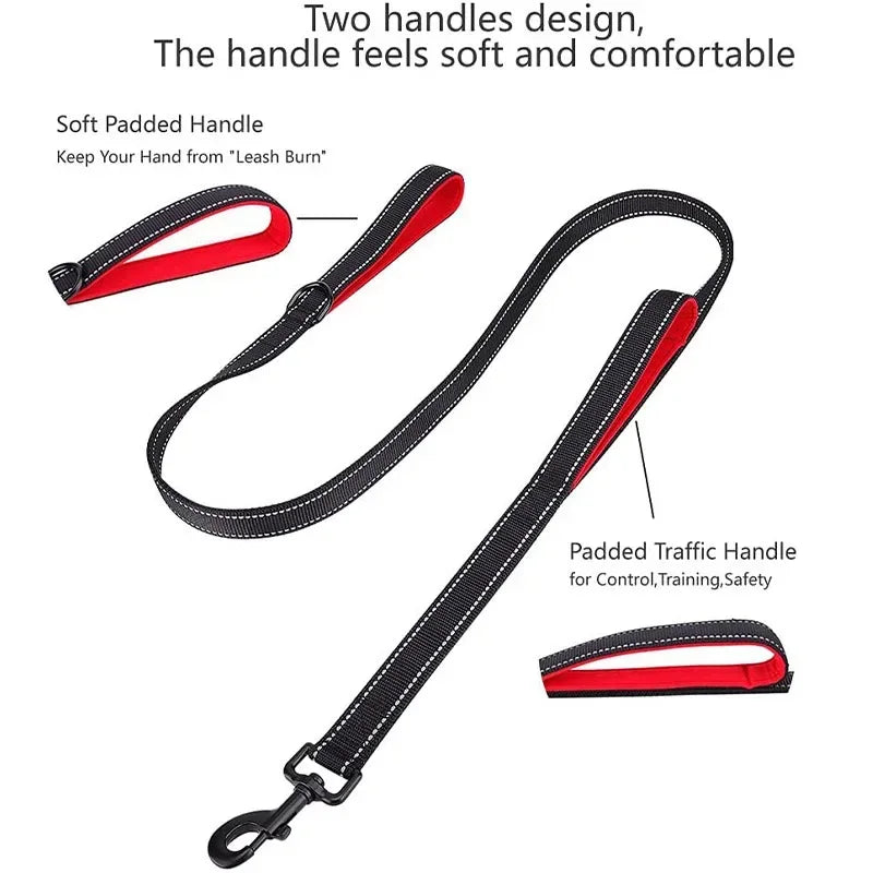 Heavy Duty Nylon Dog Leash With Double Handle For Training