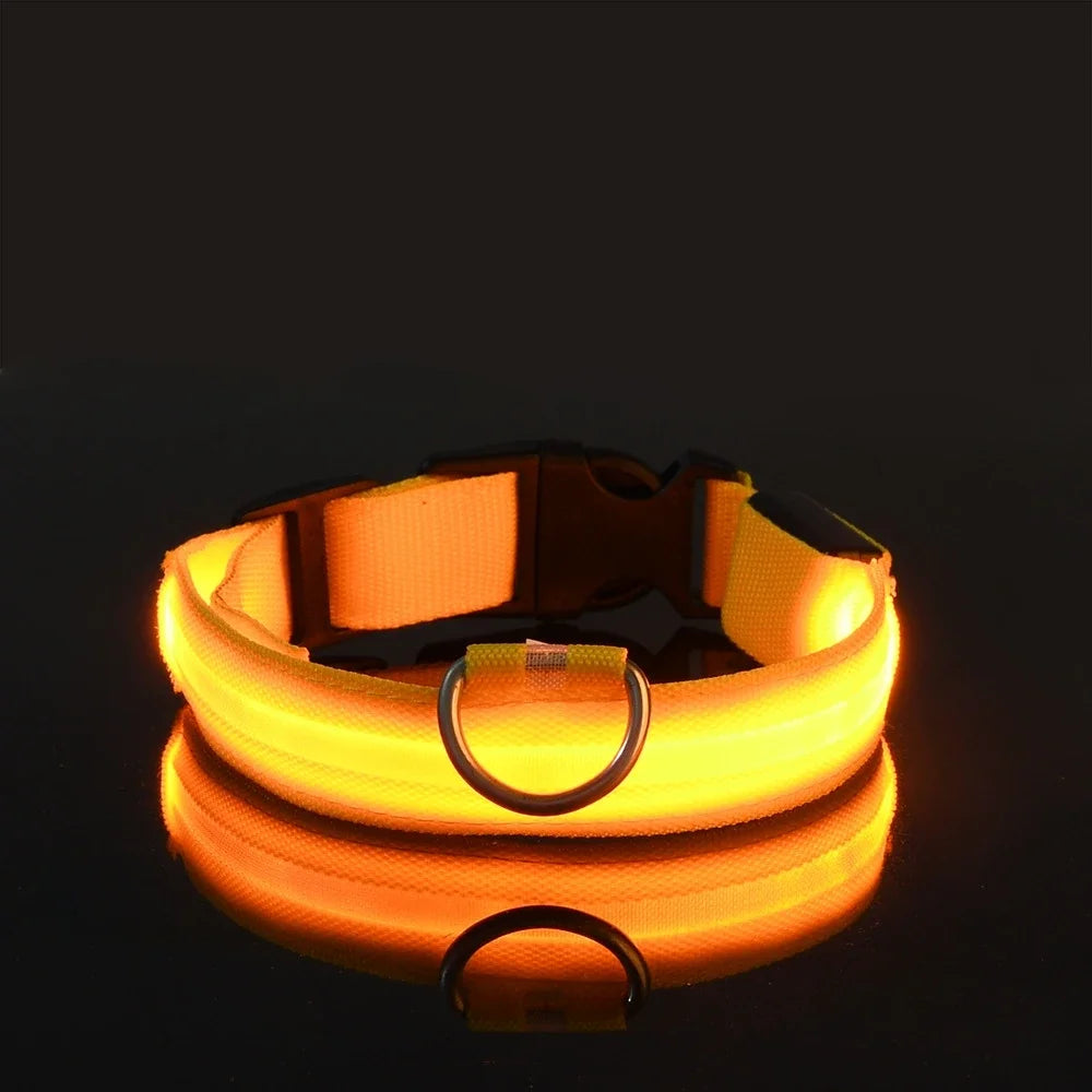 Nylon LED Night Safety Dog Leash with Glow In Dark