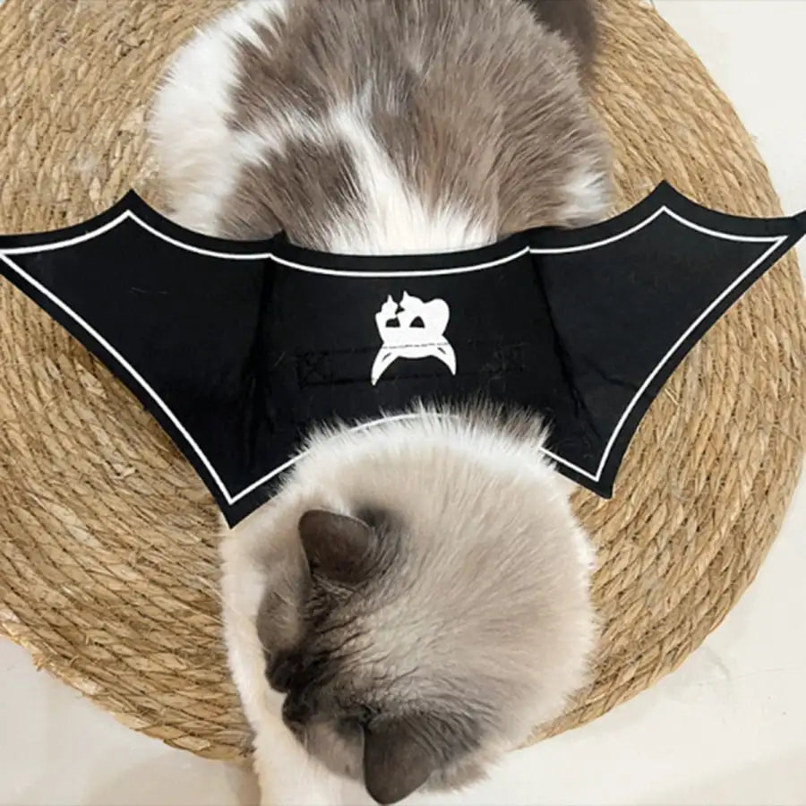 Halloween Bat Wings Pet Costume With Funny Devil Print