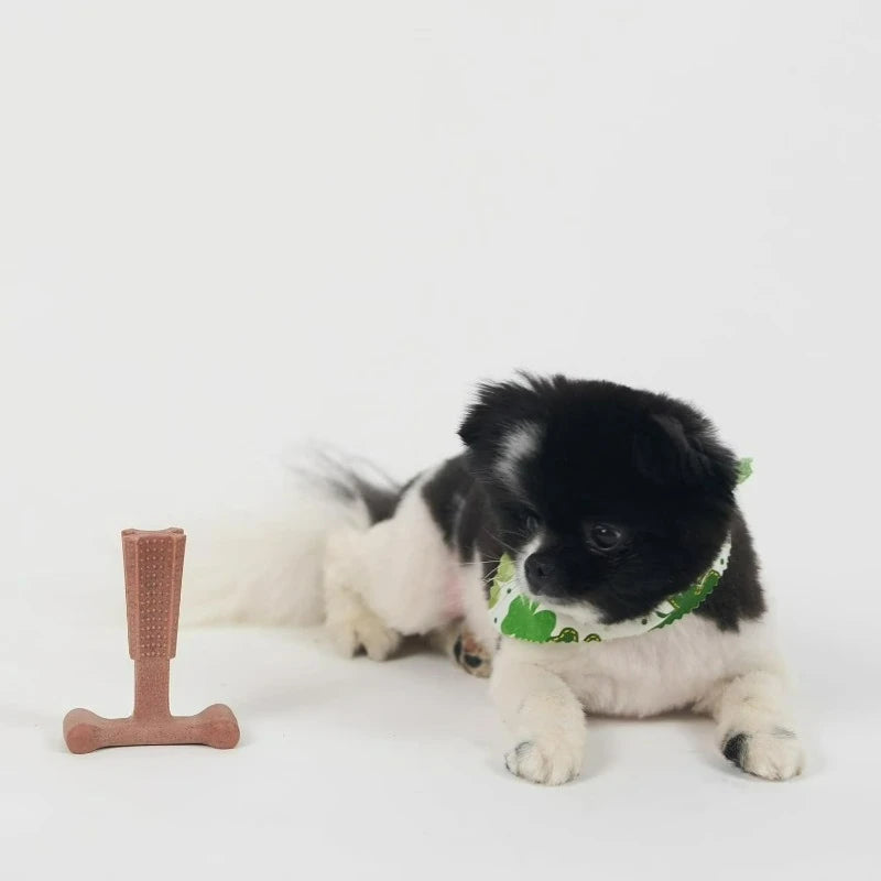 T Bone Dog Chew Toy For Aggressive Chewers Beef Flavor
