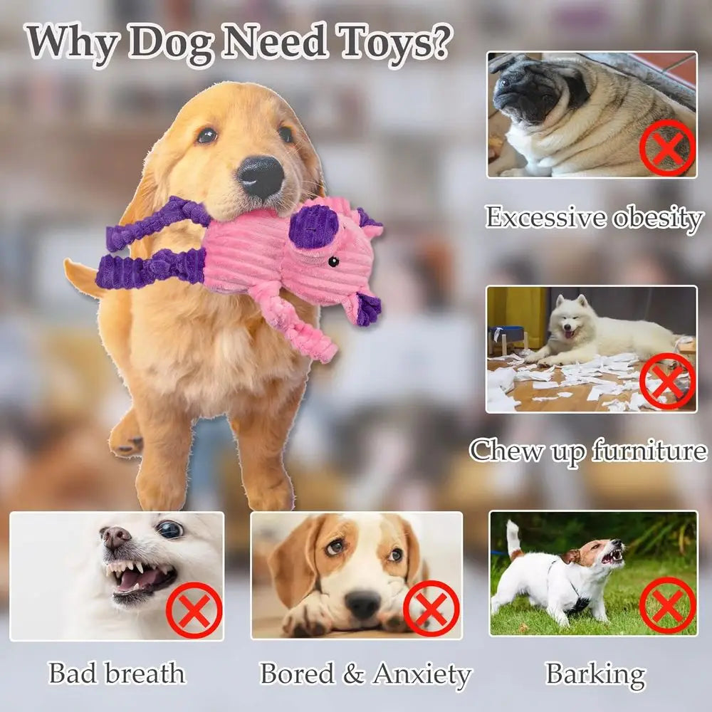 5 Pack Tough Squeaky Plush Dog Toys Bundle For Dogs