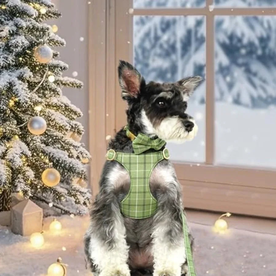 Adjustable Plaid Dog Harness Collar and Leash Set with Bowtie