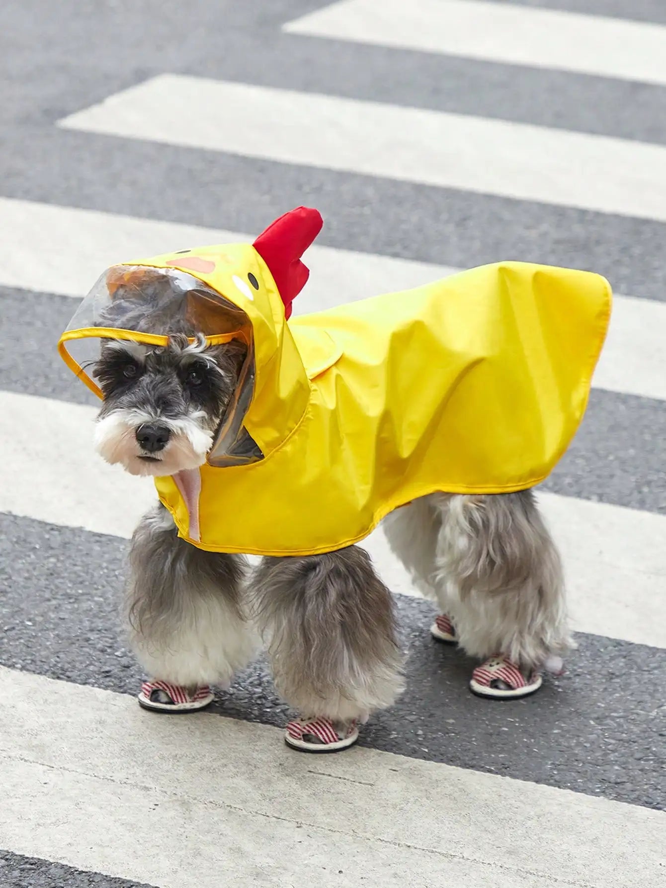 PETSIN Cartoon Bear Hooded Pet Raincoat For Dogs And Cats