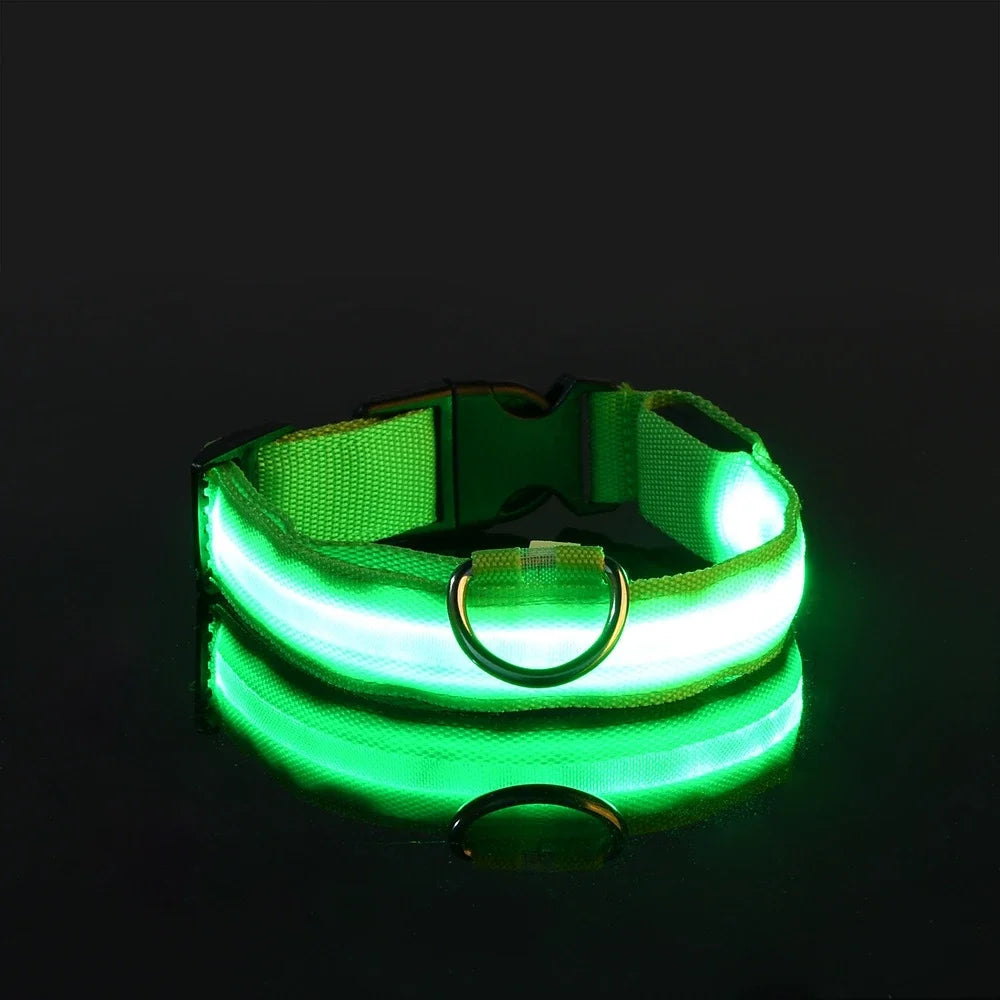 Nylon LED Night Safety Dog Leash with Glow In Dark