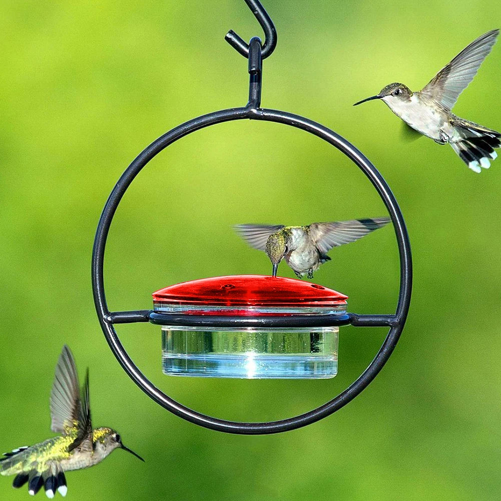 Outdoor Hummingbird Feeder Tray With Plastic Bowl For Garden
