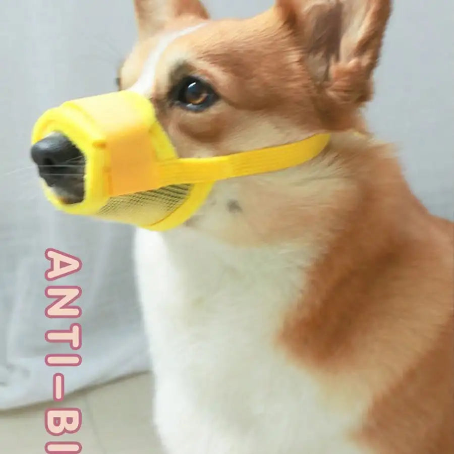 Adjustable Dog Muzzle For Training Anti Bite Breathable Mesh Design