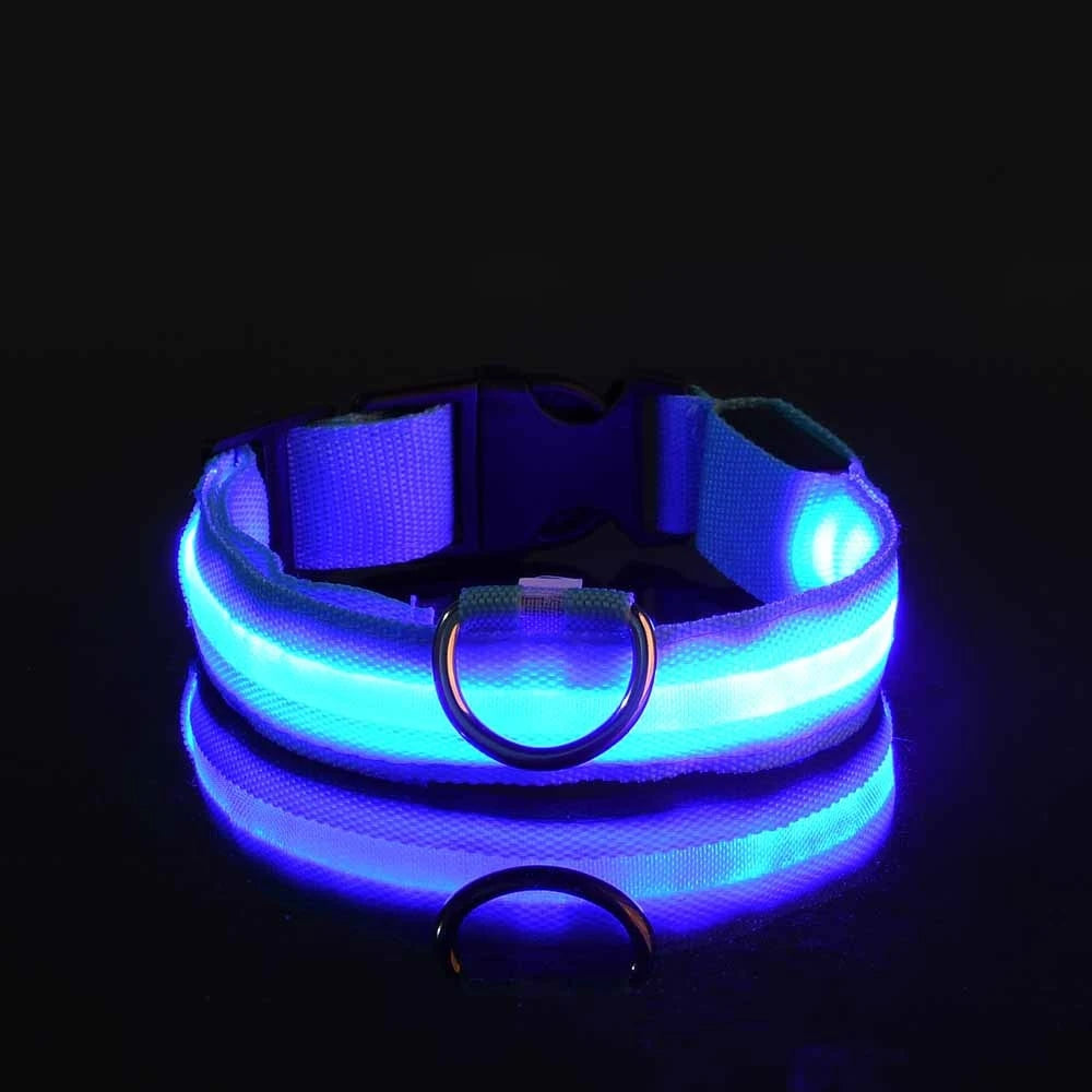 Nylon LED Night Safety Dog Leash with Glow In Dark