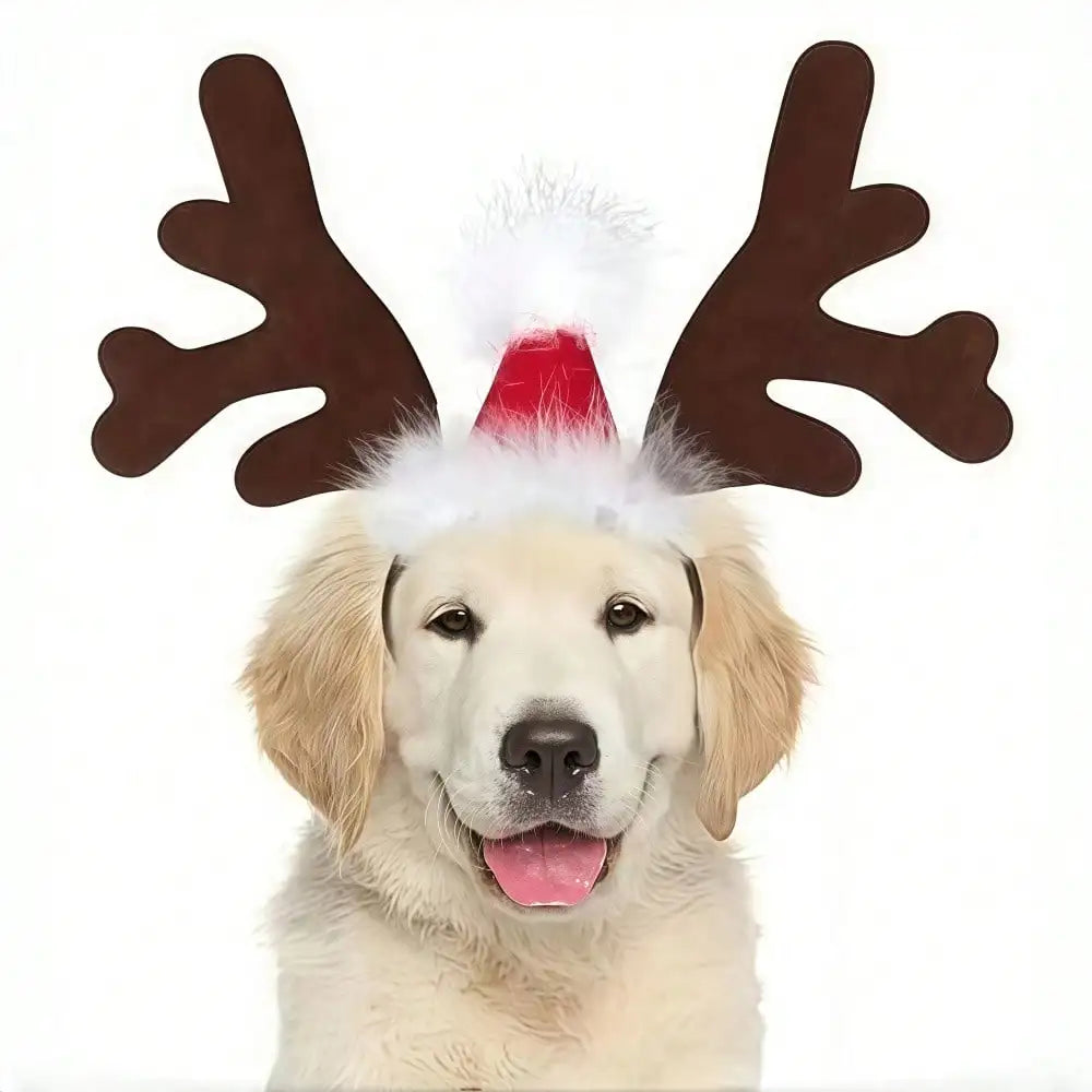 Halloween Ghost Pet Cape and Reindeer Antler Headband Costume Set