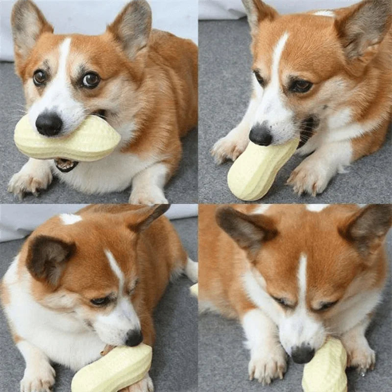 Dog Peanut Toy Squeaky Chew For Teeth Cleaning Interactive