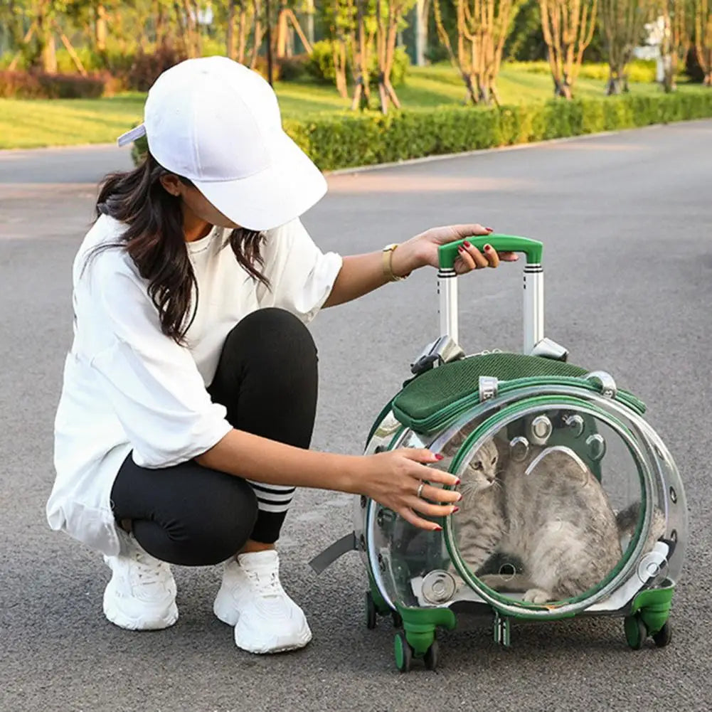 Portable Pet Trolley Case With Silent Wheels And Clear Ventilation