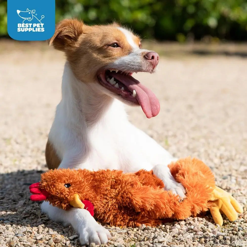 Interactive Squeaky Dog Chew Toy Crinkle Chicken For All Dogs