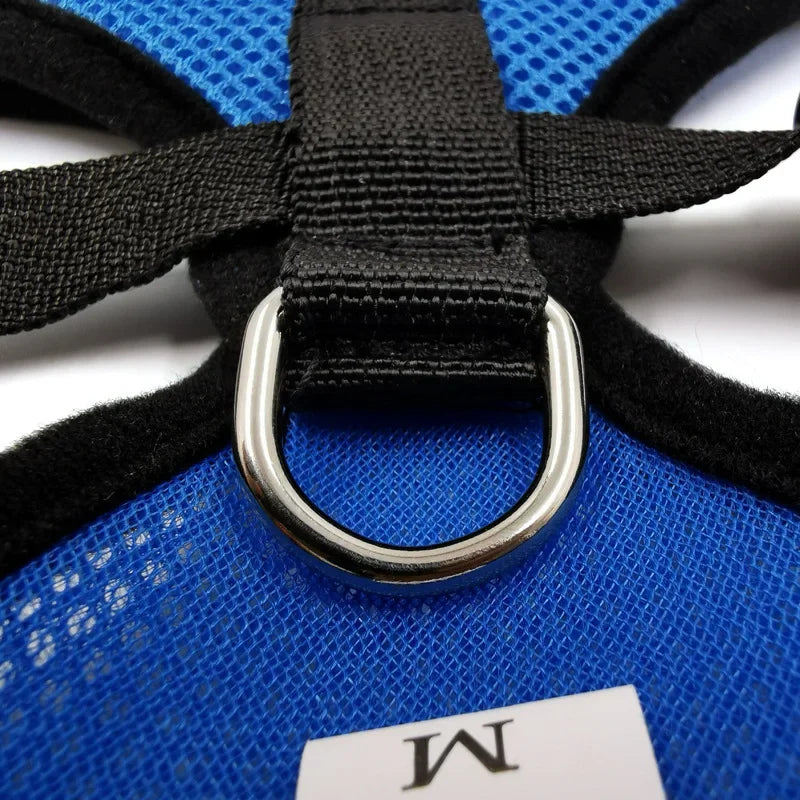 YTYINCN Dog Harness Vest With Leash Adjustable Polyester Mesh