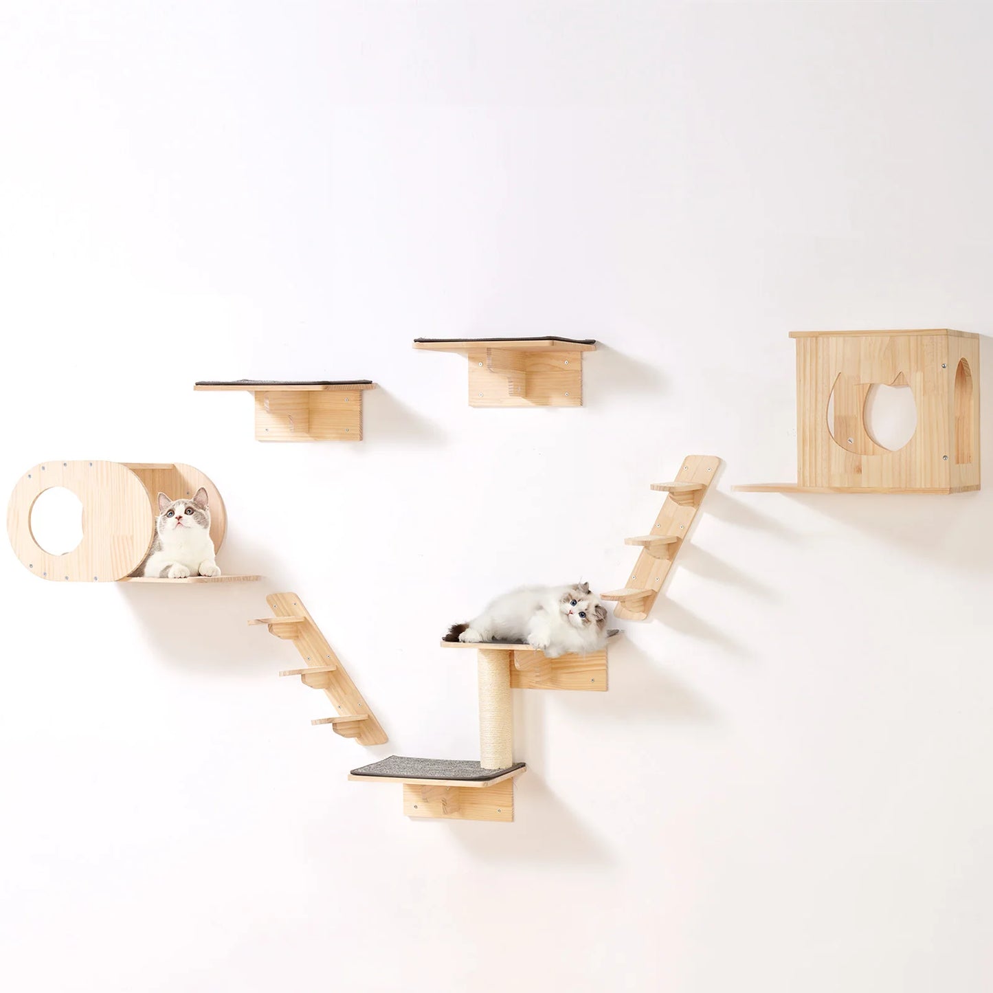 SucceBuy Wall Mounted Cat Shelves Perches Hammocks Cat Tree