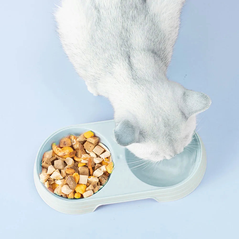 Shunmaii 2-in-1 Pet Bowls Feeding Dishes For Dogs Cats