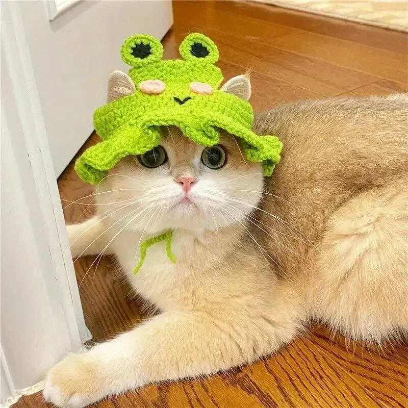 Kittens Knitted Cat Hat Elastic Winter Pet Accessory
