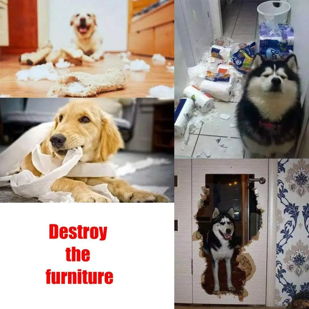 Interactive Snuffle Mat For Dogs And Cats Foraging Toy