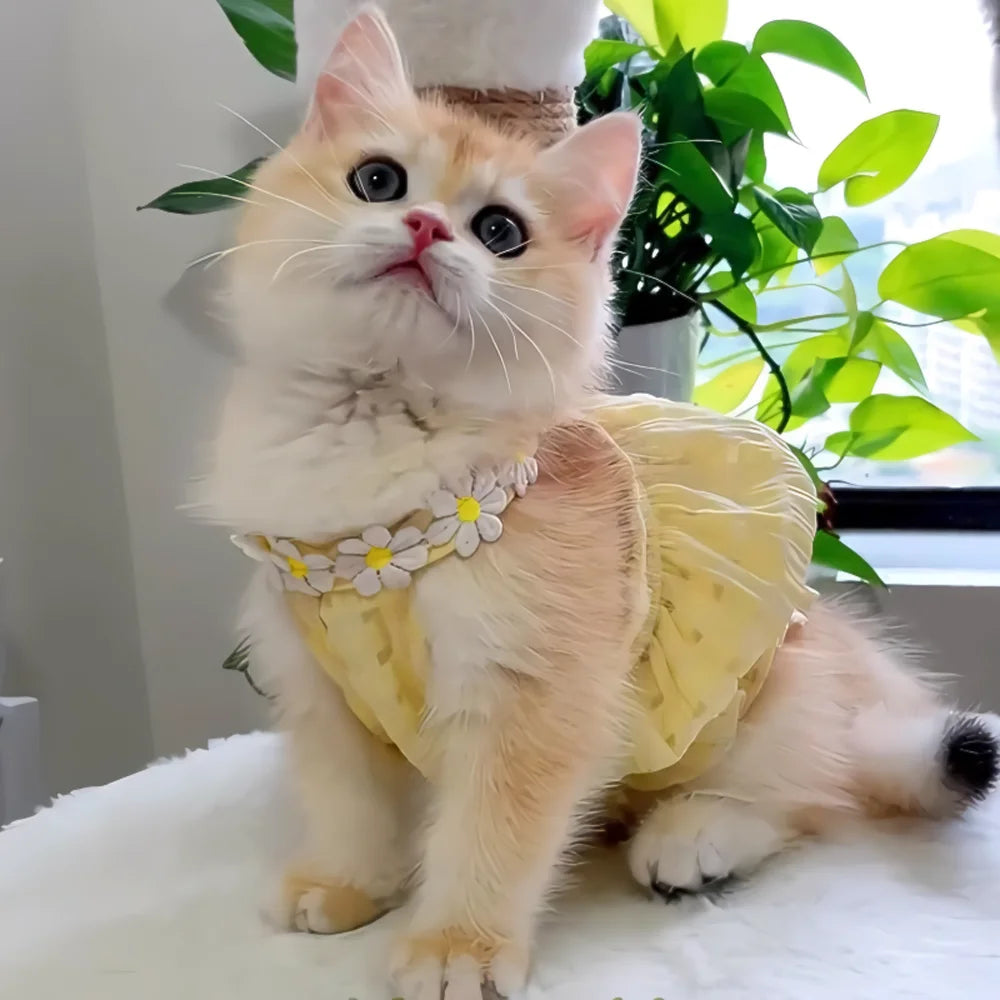 Chic Cat Dress Summer Princess Style For Pets Everywhere
