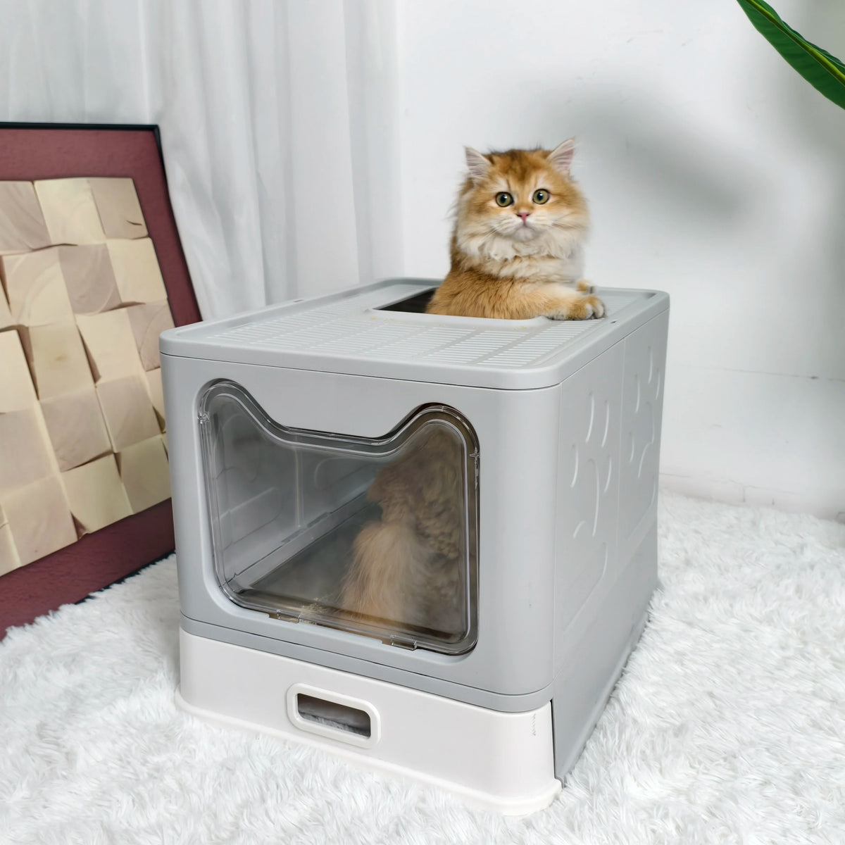 Fully Covered Cat Litter Box With Lid And Scoop