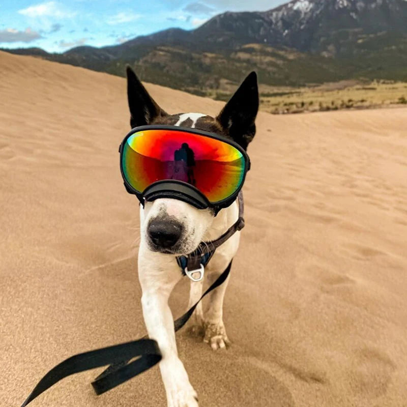 PETRAVEL Dog Goggles Anti UV Sun Glasses for Travel Protection